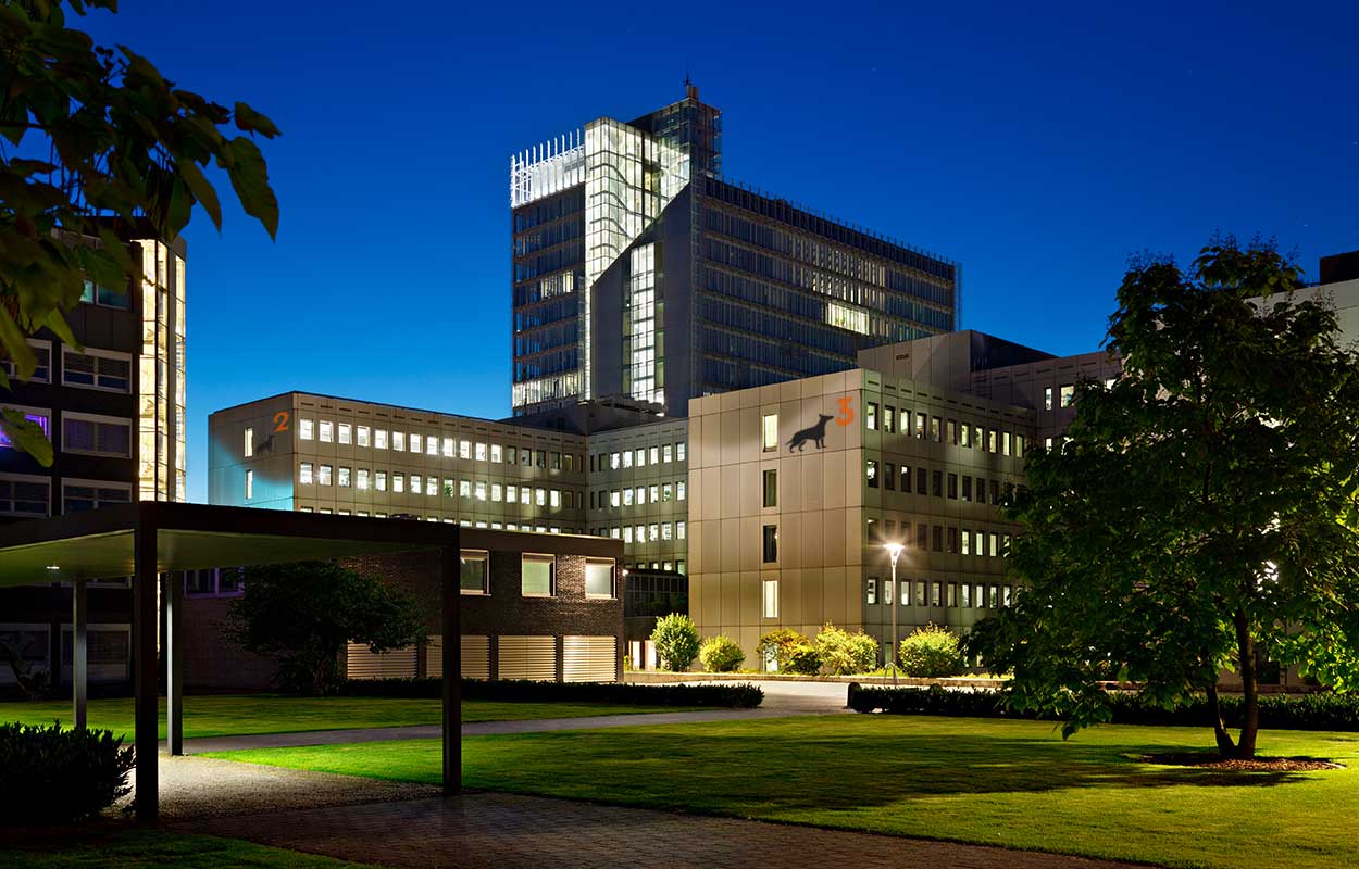Image of Schaferhund Global Headquarters at night